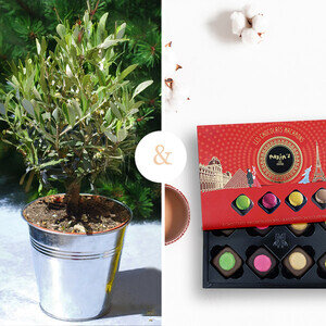 OLIVIER + MACARONS OLIVIER + MACARONS