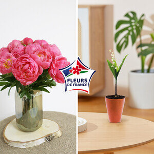 15 PIVOINES + POT DE MUGUET