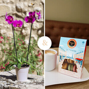 ORCHIDEE + MACARONS