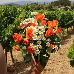 MELODIE DES JARDINS S
