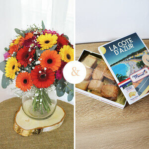 GERMINIS MULTICOLORES + BISCUITS