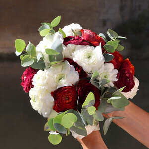 MAGIE DES FETES MAGIE DES FETES