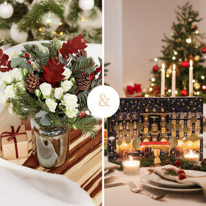 FORET DES MERVEILLES + CALENDRIER