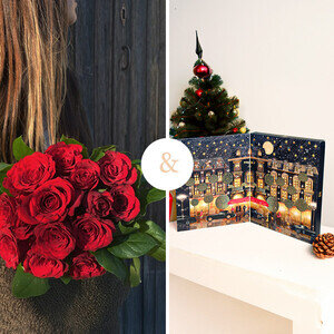 15 ROSES + CALENDRIER DE L'AVENT