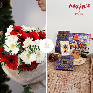 GERMINIS FEERIQUES + TROUSSE GOURMANDE