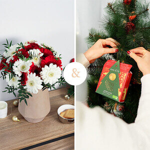 GERMINIS FEERIQUES + THÉ DE NOËL