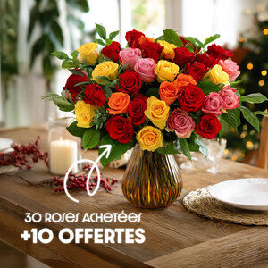 30 ROSES + 10 ROSES OFFERTES