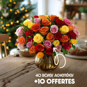 50 ROSES MULTICOLORES