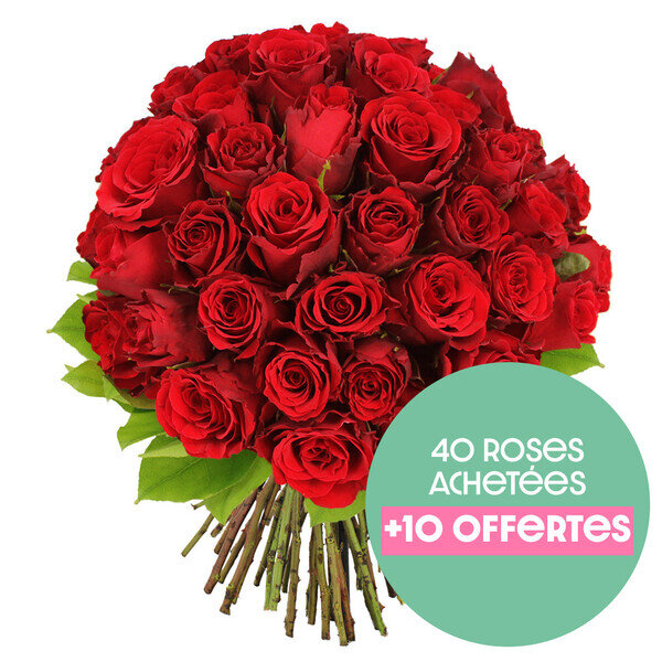 40 Single Roses Bouquet de roses