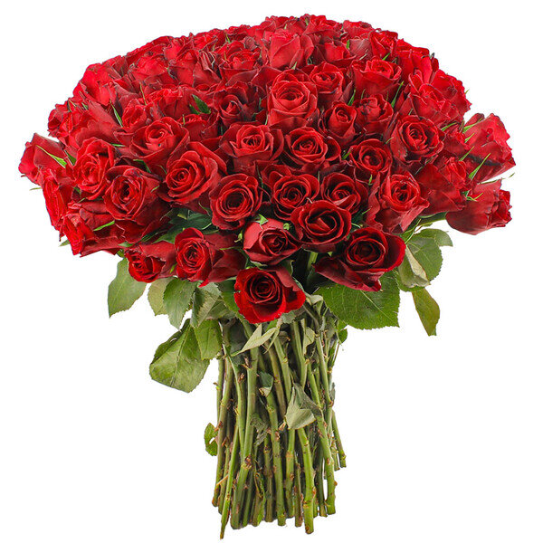 40 Roses Vs 80 Roses Bouquet de roses