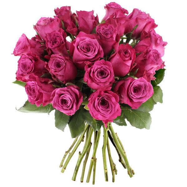 20 Roses Roses Bouquet de roses