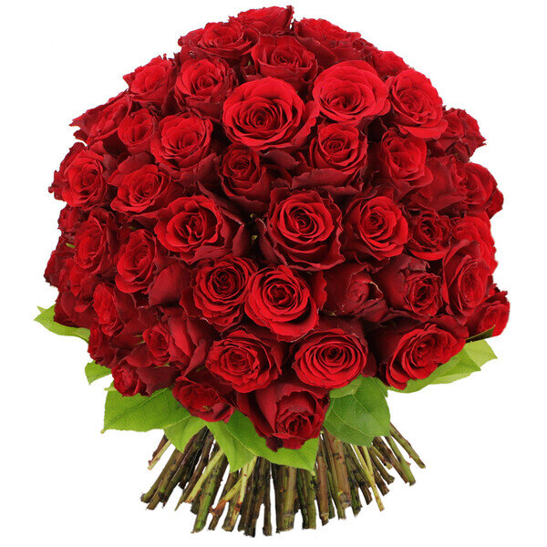 Bouquet 100 Roses Rouges Bouquet de roses