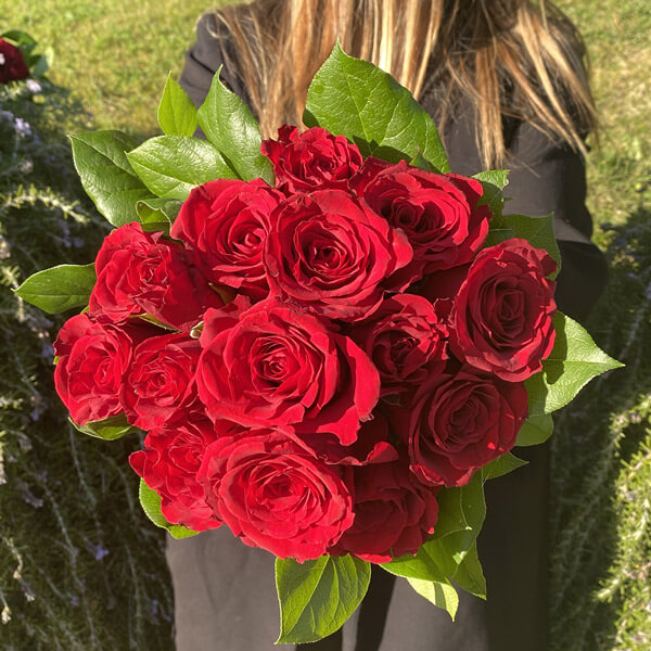 15 roses rouges prix