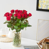 GRANDES ROSES ROUGES 2