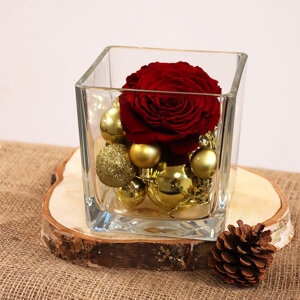 Rose Éternelle Rouge Préservée Dans Cube En Verre - Mini Bouquet Sans Entretien - Cadeau Romantique Original