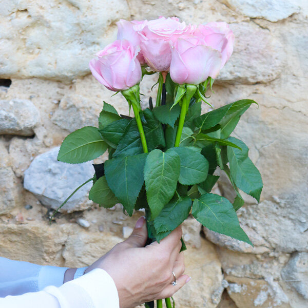 Bouquet de roses 