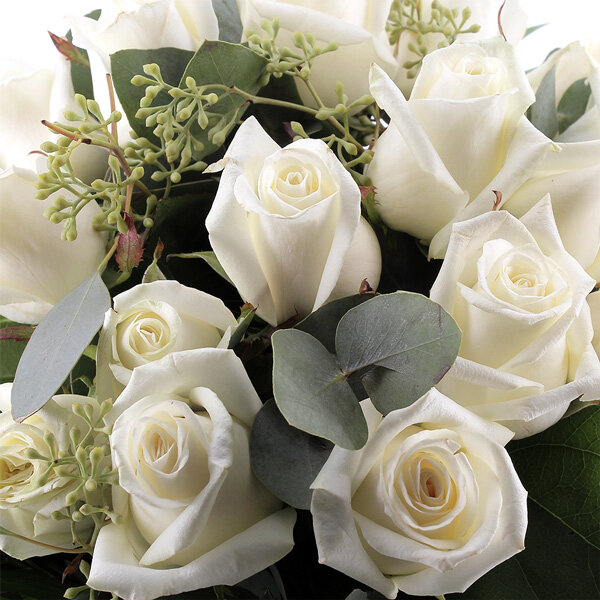 Bouquet De Roses Blanches Livraison En Express Florajet 8692