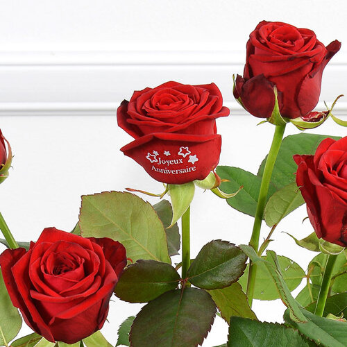 Bouquet de roses 5 + 1 ROSE MARQUEE JOYEUX ANNIVERSAIRE 60CM