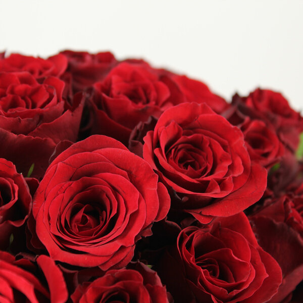 Image 100 Roses Rouges Bouquet de 100 roses rouges - Livraison Express
