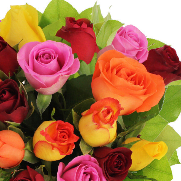 Lot De 4 Sets De Table En PVC - Motif Fleurs De Tulipes - Lavables