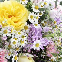 CLEA M + TROUSSE GERANIUM 3