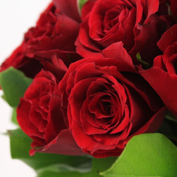 Bouquet 100 Roses Rouges Bouquet de roses